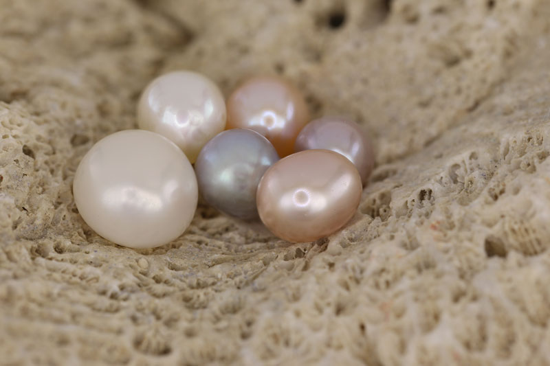 Perle | Edelsteine von A-Z bei Juwelo
