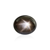 Schwarzer Stern-Saphir 11,655 ct