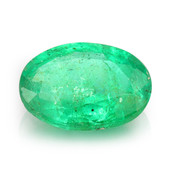 Sambia-Smaragd-Edelstein 1,1 ct