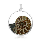 Ammonit-Silberanhänger