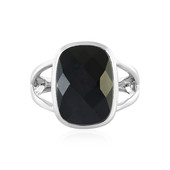 Schwarzer Onyx-Silberring