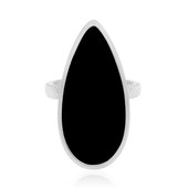 Schwarzer Onyx-Silberring (MONOSONO COLLECTION)