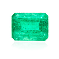 Brasilianischer Smaragd- Edelstein 1,26 ct in Sammler-Box