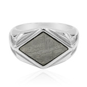 Eisen-Meteorit-Silberring