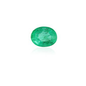 Sambia-Smaragd 0,284 ct