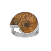 Ammonit-Silberring