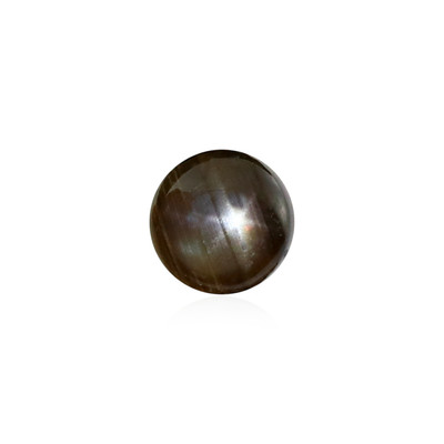 Schwarzer Stern-Saphir 0,495 ct