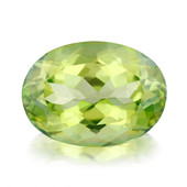 Kiwi-Topas