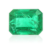 Sambia-Smaragd 1,39 ct