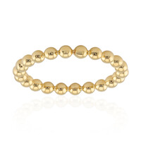 Silberring