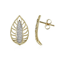 Lupenreiner (F) Brillant-Goldohrringe (LUCENT DIAMONDS)