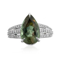 Oregon-Sonnenstein-Goldring (AMAYANI)