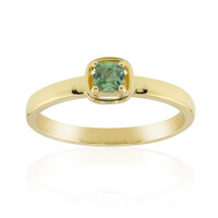 Madagaskar-Demantoid-Goldring (John Ferry)