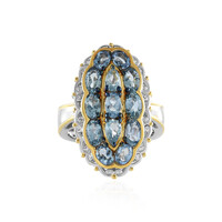Tansania-Aquamarin-Silberring (Gems en Vogue)