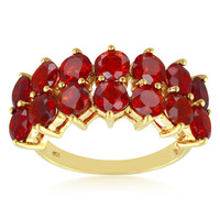 Salamanca-Feueropal-Goldring