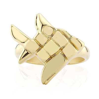 Silberring