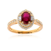 AAA-Mosambik-Rubin-Goldring (CIRARI)