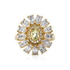Oregon-Sonnenstein-Goldring