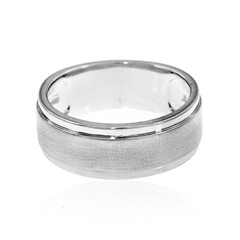 Silberring