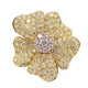 Brillant-Goldring (CIRARI)