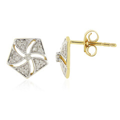 I4 (J) Diamant-Goldohrringe
