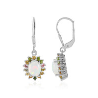 Welo-Opal-Silberohrringe
