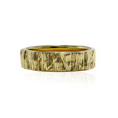 Silberring