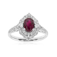 AAA-Mosambik-Rubin-Goldring (CIRARI)