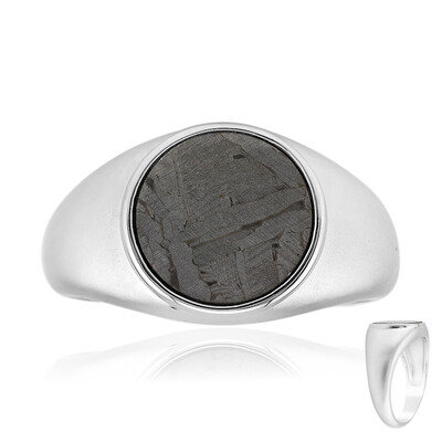 Aletai-Meteorit-Silberring