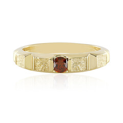 Roter I2 Brillant-Goldring (de Melo)