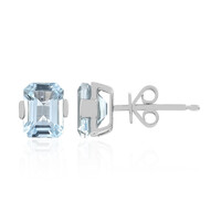 AAA-Brasilianischer Aquamarin-Goldohrringe