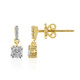 VVS1 (G) Brillant-Goldohrringe (Annette)