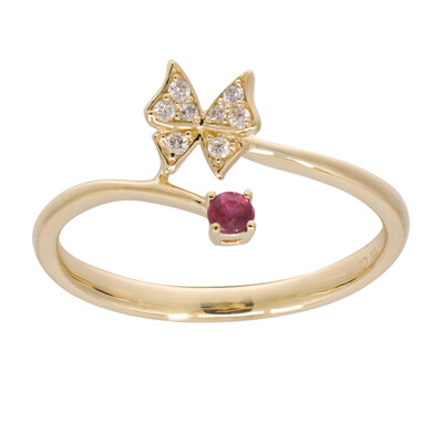 AAA-Mosambik-Rubin-Goldring (CIRARI)