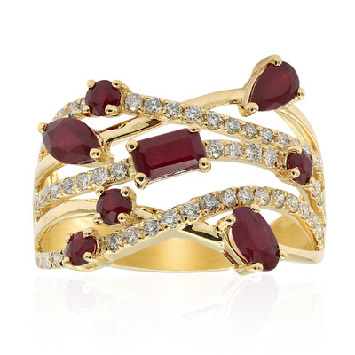 AAA-Mosambik-Rubin-Goldring (CIRARI)