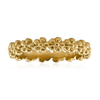 Silberring