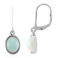 Welo-Opal-Silberohrringe