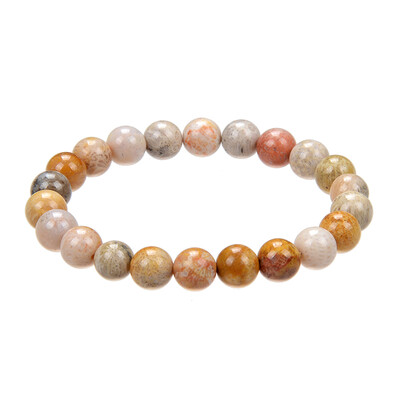 Versteinerte Koralle-Armband