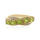 Sphen-Goldring