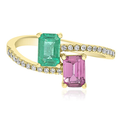 Edelstein-Goldring (CIRARI)