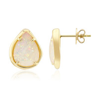 Brasilianischer Weißer Opal-Goldohrringe