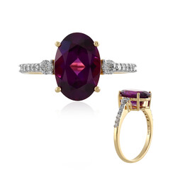 Magenta-Granat-Goldring (AMAYANI)