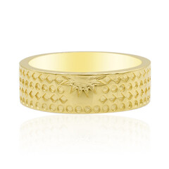 Silberring