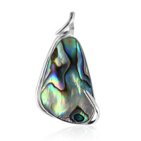 Abalone-Muschel-Silberanhänger (Art of Nature)