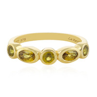 Sphen-Goldring (La Revelle)