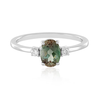 Oregon-Sonnenstein-Goldring (AMAYANI)
