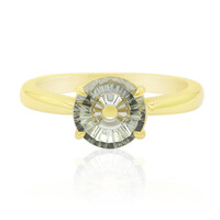 Grüner Amethyst-TorusRing-Goldring (Glenn Lehrer)
