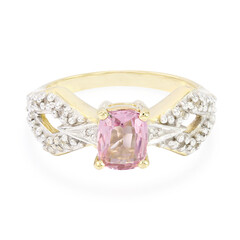 Pamir-Spinell-Goldring