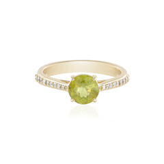 Sphen-Goldring (AMAYANI)