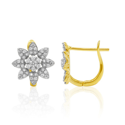 IF (D) Brillant-Goldohrringe (Annette)