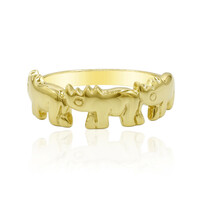 Silberring